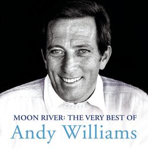 Andy Williams – Cant Take My Eyes off You