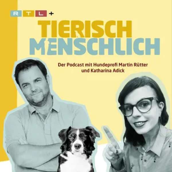 Es war einmal … der Mensch“: ARD-alpha wiederholt Klassiker –