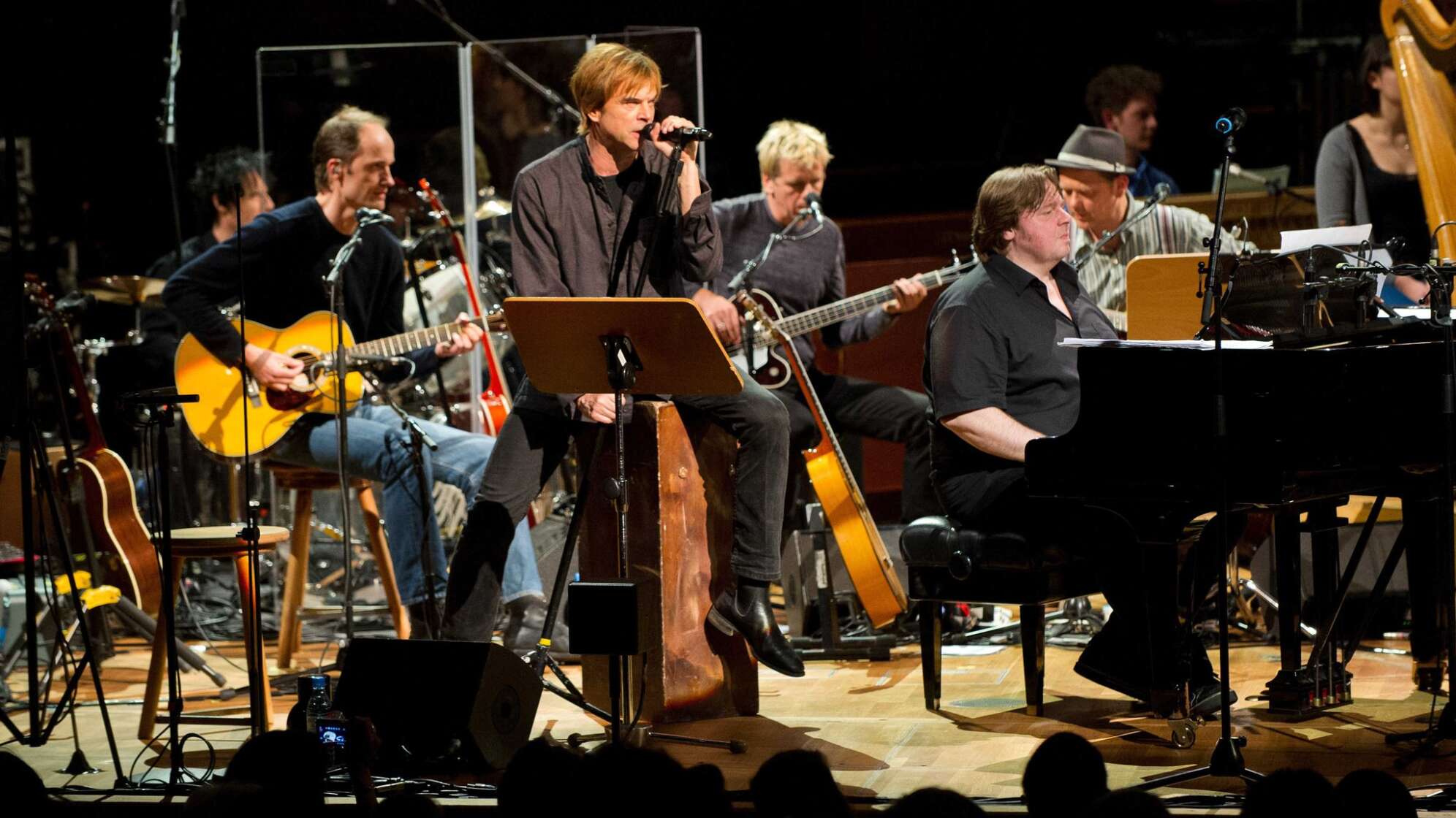 Konzert der Toten Hosen