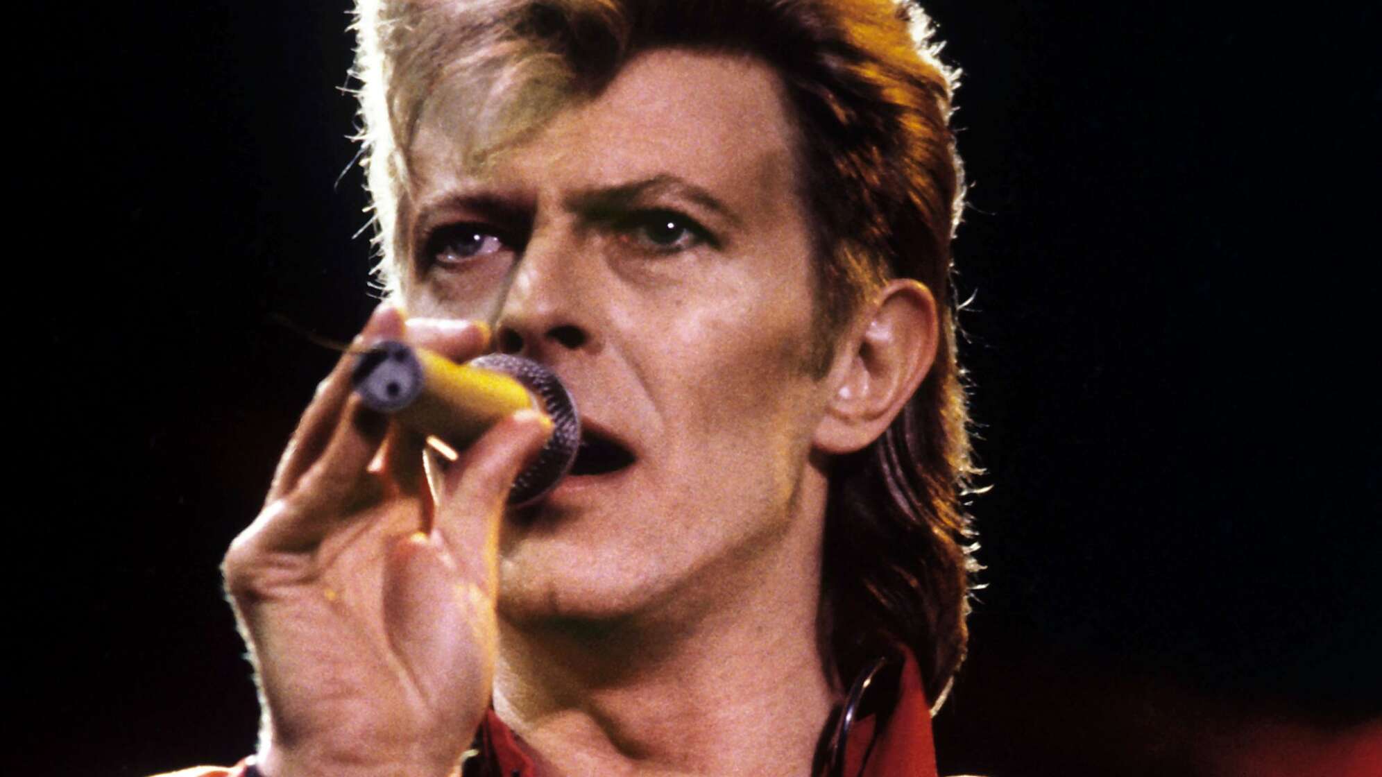 David Bowie