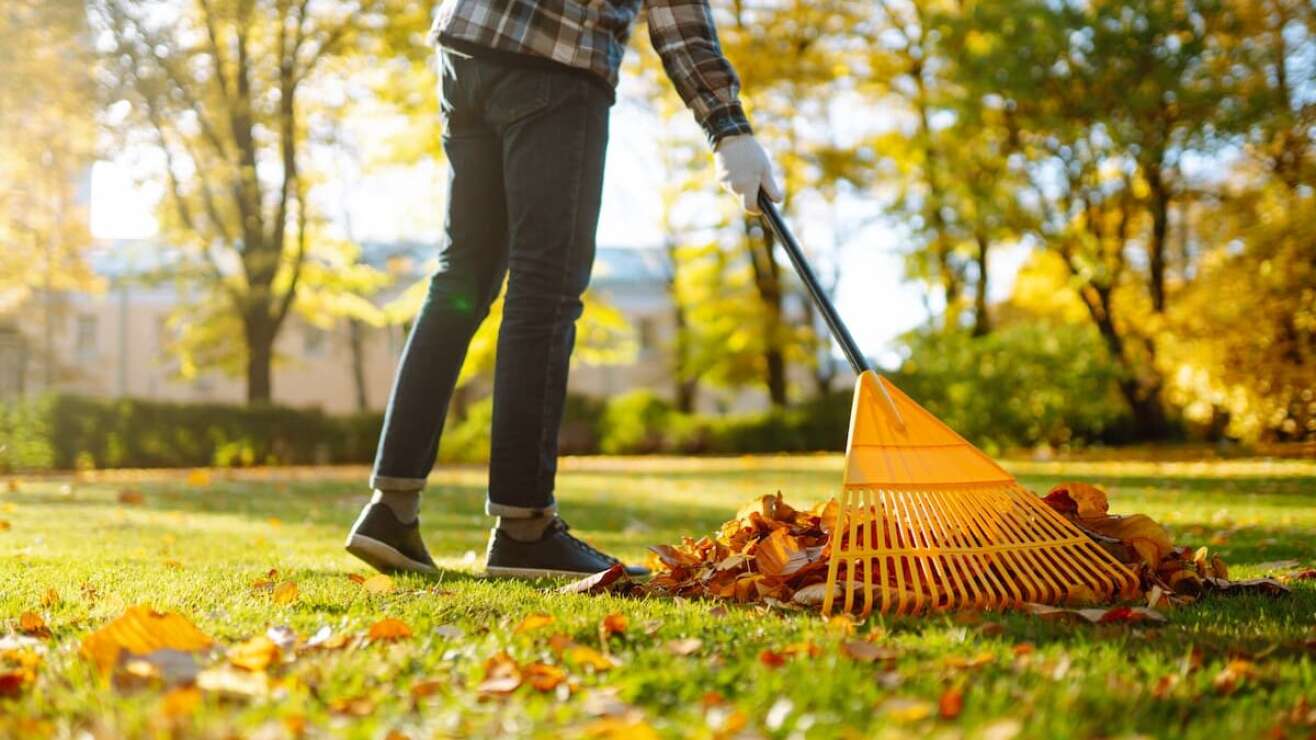 Herbstlaub im Garten: Deshalb solltet ihr es nicht wegwerfen!
